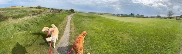Bell's Point