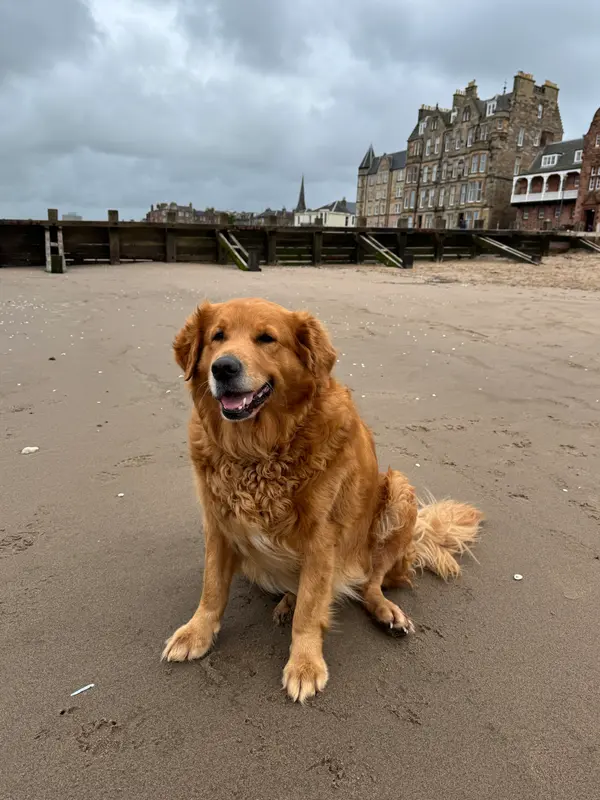 Portobello Beach
