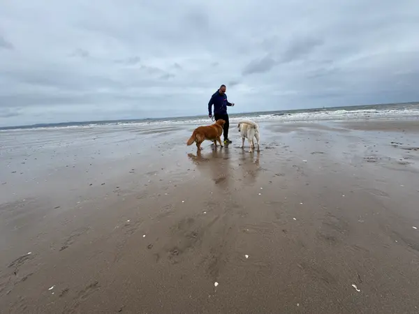 Portobello Beach